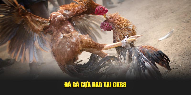 Đá gà cựa dao tại GK88