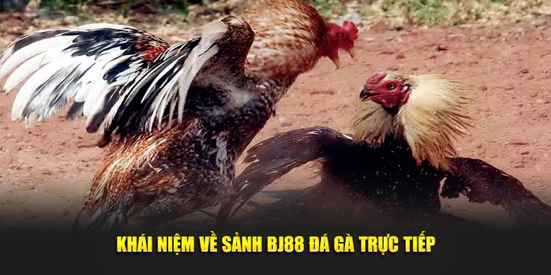 Khái niệm về sảnh BJ88 đá gà trực tiếp