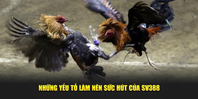 Những yếu tố làm nên sức hút của sân chơi SV388