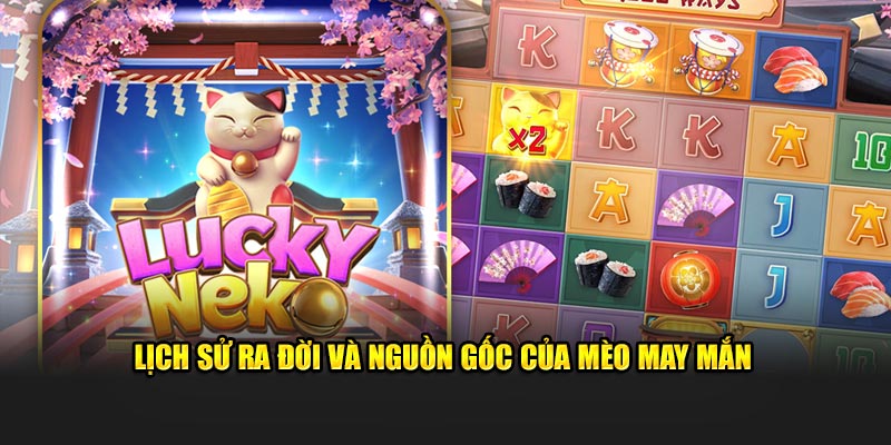 Lịch sử ra đời và nguồn gốc của mèo may mắn  