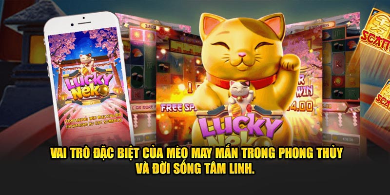 Vai trò đặc biệt của mèo may mắn trong phong thủy và đời sống tâm linh. 